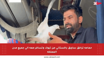 حمامة ترافق سائق باكستاني من تبوك وتسافر معه إلى جميع مدن المملكة